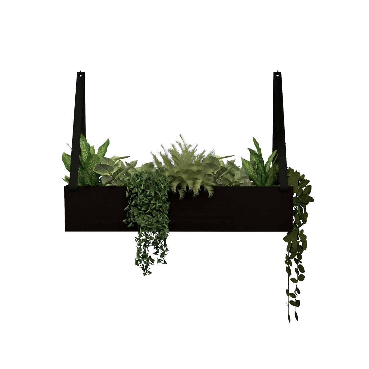 gras fr blumenkasten Balkonkasten Set Sommer Grser  Green Me Up